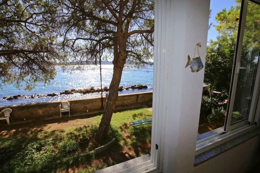 Seafront Beach Apartment - Directly At The Beach ซาดาร์ ภายนอก รูปภาพ